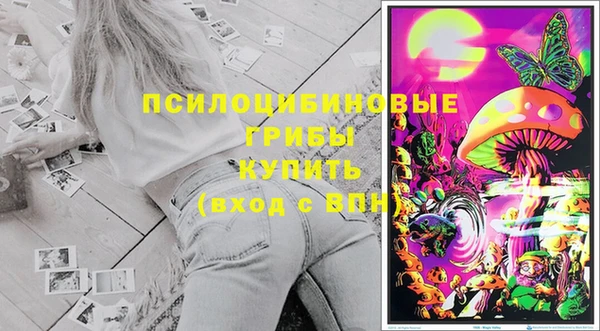 прущие крисы Сосновка