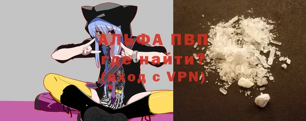 мдпв Осташков