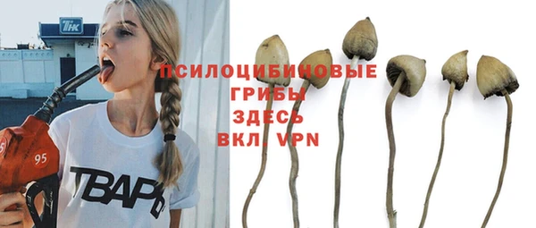 стафф Слюдянка