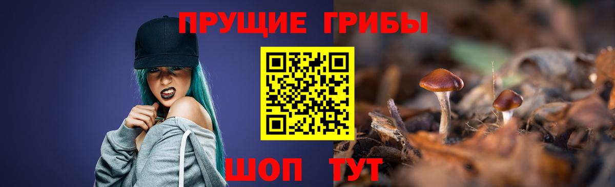 Галлюциногенные грибы Psilocybine cubensis  наркота  Мурманск  Псилоцибиновые грибы мицелий  Вход с VPN 