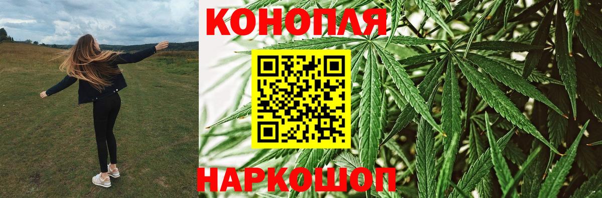 Шишки марихуана семена Мурманск